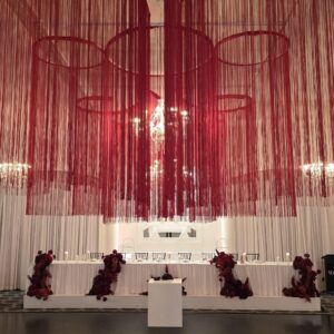 Ceiling Fringe - Red